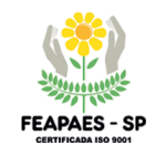 Camada 5